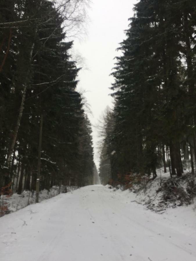 Hermanov 141 Jindrichovice Екстер'єр фото